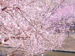 -安定门(地铁站)