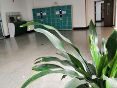 -青岛市图书馆