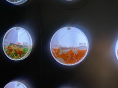 -一绪に和牛寿喜烧(罗湖益田假日店)