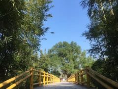 -苏家围·东江画廊旅游景区