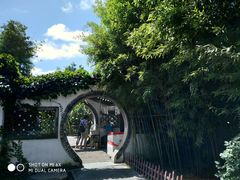 -王家大院