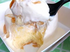 -糕小爱动物奶油生日蛋糕定制(晋江万达店)