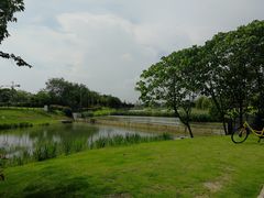 -两河城市森林公园