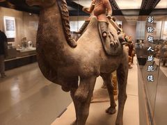 -西安大唐西市博物馆