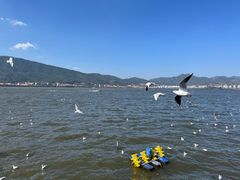 -海埂大坝