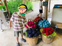 -大象粑粑造纸公园