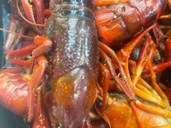 -老鄞江清水龙虾•赵赵家(江北店)