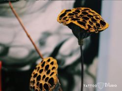 -飛凡TATTOO纹身•原创