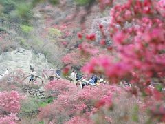 -木兰云雾山