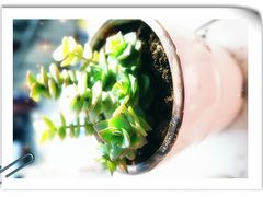 -万达影城(凯旋城广场XLAND店)