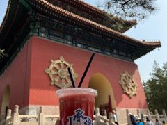 -普陀宗乘之庙(小布达拉宫)