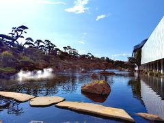 -罗红摄影艺术馆