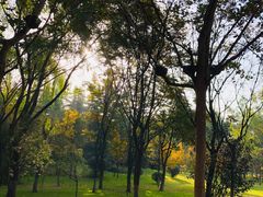 -阿杰烧烤·西安传统烤肉店(天朗御湖店)