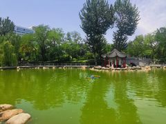 -莲湖公园