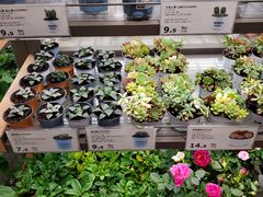-鹿岛会员店(熙地港店)