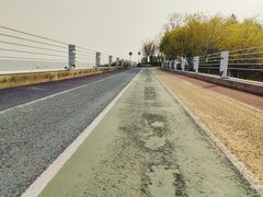 -贡湖湾湿地公园
