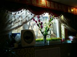 -审美HAIR SALON