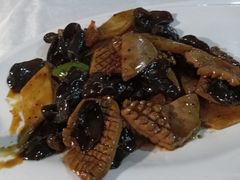 -云中小雅