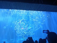 -华夏文旅海洋公园