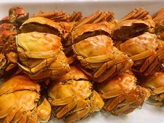 -常州富力喜来登酒店 Feast盛宴标帜西餐厅(新北万达广场店)