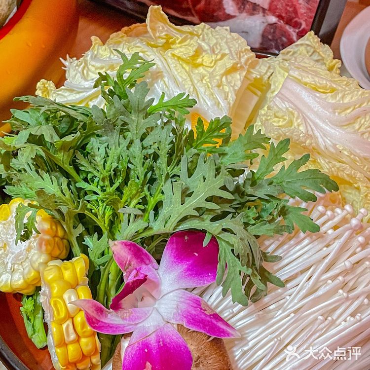 成都美食｜一周三次都要吃的牛肉🥩寿喜锅 
