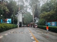 -三门江国家森林公园