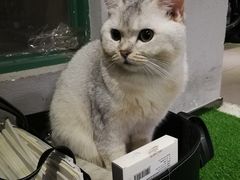-AK健身普拉提拉伸私教馆(中八店)