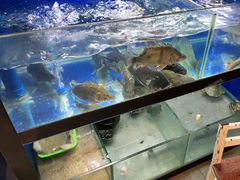 水产区-李东农庄(中南百草园地标店)