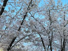 -龙美术馆西岸馆-停车场