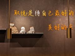 -黄晓猫剁椒大鱼头(海岸城店)