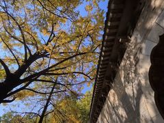 -灵谷景区