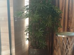 -天津梅江中心皇冠假日酒店