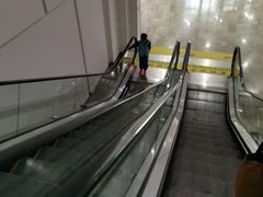 -中国宋庆龄青少年科技文化交流中心