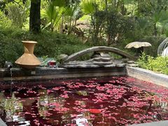 -凤翔首邑温泉度假村