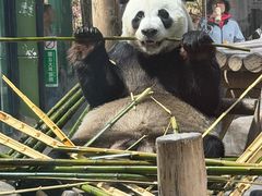 -栾川竹海野生动物园