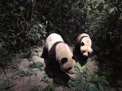 -长江文明馆