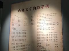 -宁夏博物馆