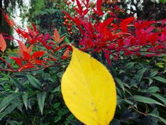 -西安汉城湖景区