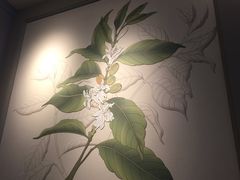 -星巴克(港汇1号办公楼店)