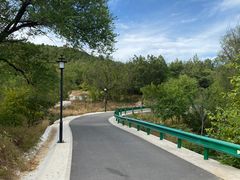 -白水寺森林公园