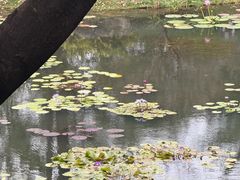 -云溪植物园