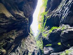 -龙水峡地缝景区