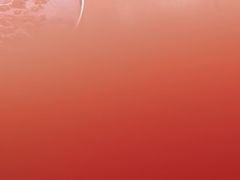 -韩麦大冷面(桂花街直营店)