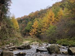 -秦岭风景区