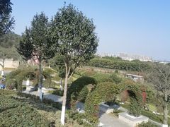 -东莞植物园