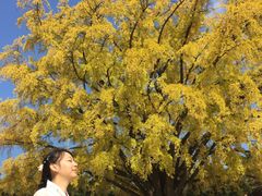 -景福宫