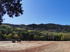 -北京西山国家森林公园