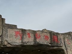 -合肥野生动物园