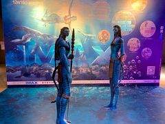 -星河寰宇IMAX影城(星河WORLD·COCO Park店)