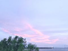 -宝安西湾红树林湿地公园